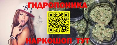 прущая мука Будённовск