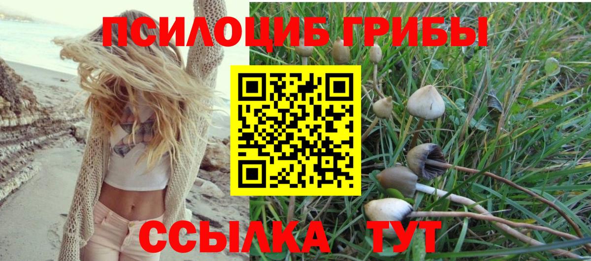 Псилоцибиновые грибы Magic Shrooms Пенза