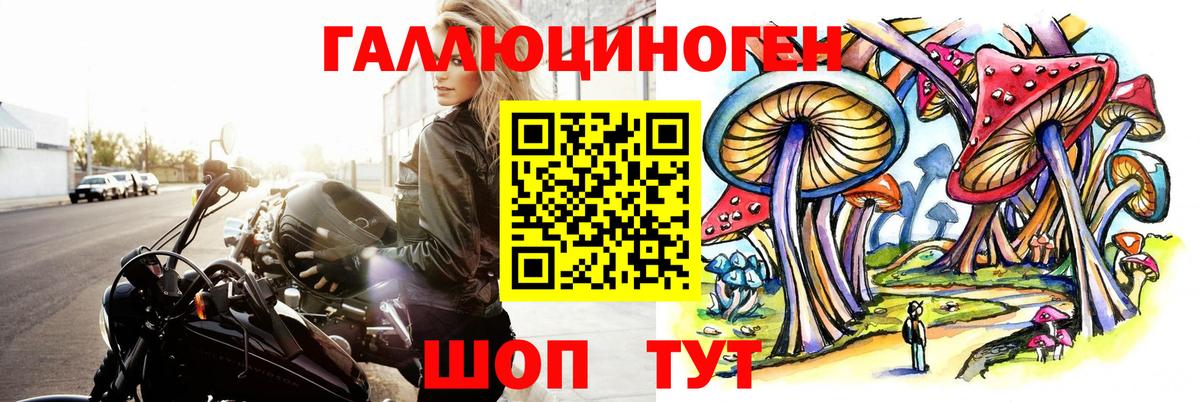 Псилоцибиновые грибы MAGIC MUSHROOMS  Вход с VPN  Пенза 